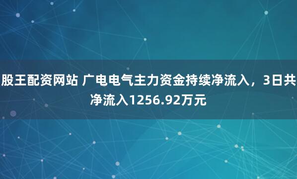 股王配资网站 广电电气主力资金持续净流入，3日共净流入1256.92万元