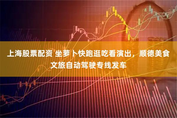 上海股票配资 坐萝卜快跑逛吃看演出，顺德美食文旅自动驾驶专线发车