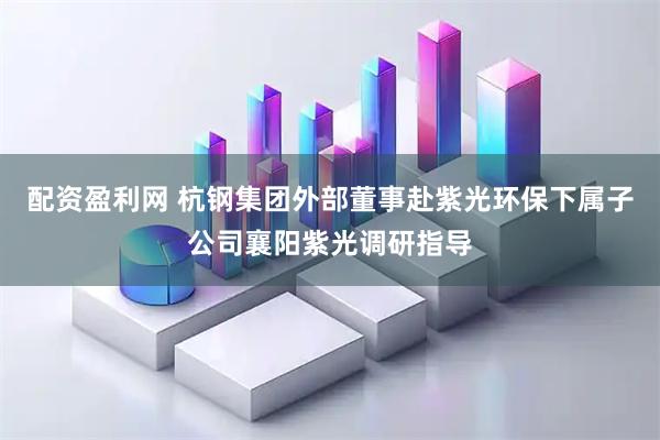 配资盈利网 杭钢集团外部董事赴紫光环保下属子公司襄阳紫光调研指导