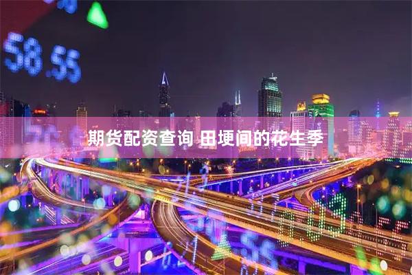 期货配资查询 田埂间的花生季