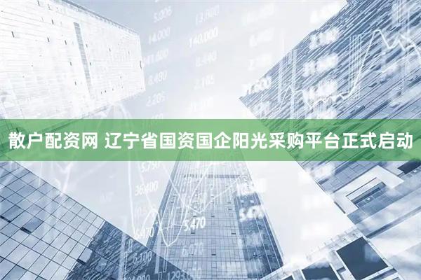 散户配资网 辽宁省国资国企阳光采购平台正式启动